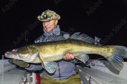 September zander night fishing trophy in Sweden