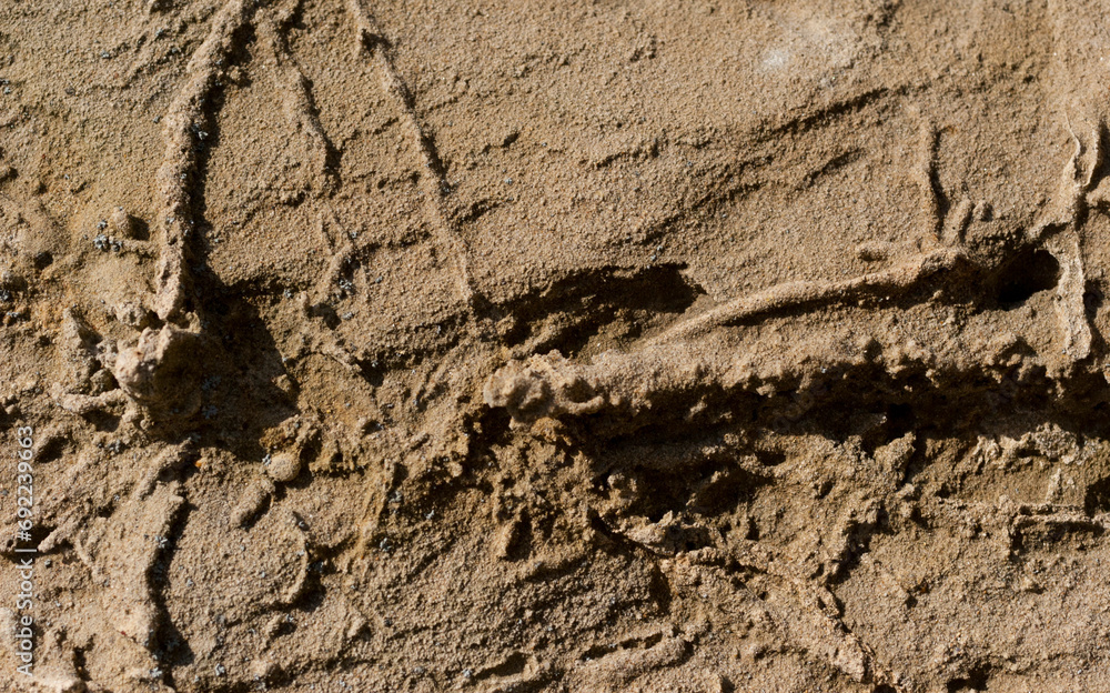 Sandstone. Petrified sand in a quarry. The structure of the stone. Sandstone. Petrified sand in a quarry. The structure of the stone.