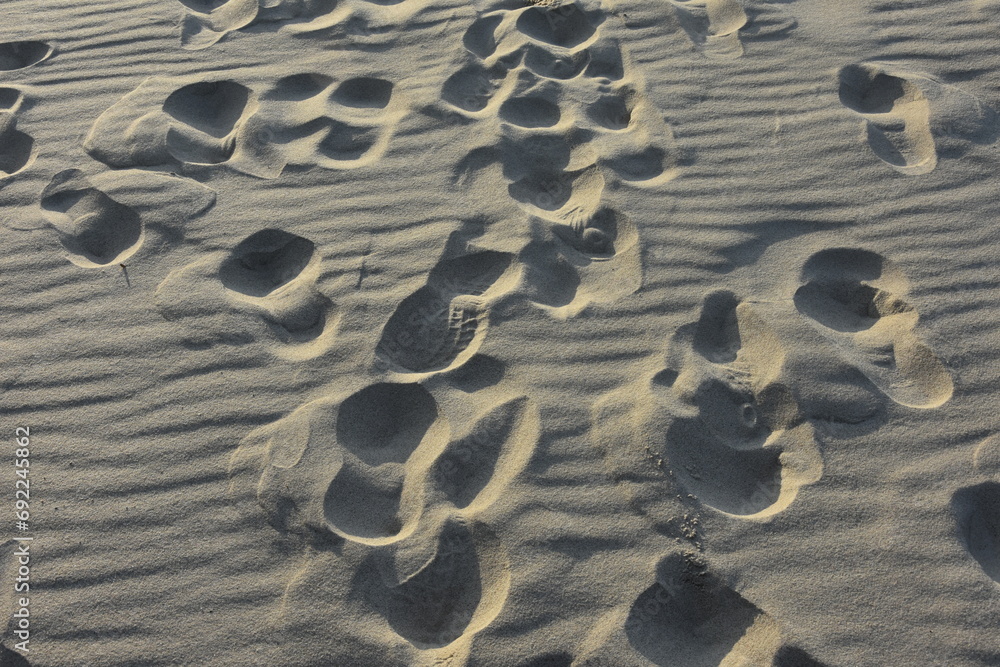 śłady butów człowieka na nadmorskim piasku - obrazy, fototapety, plakaty 