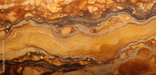 Drenched in golden hues, the intricate patterns of fossilized wood from Washington State come alive in this high-definition snapshot, showcasing the artistry of geological time. photo