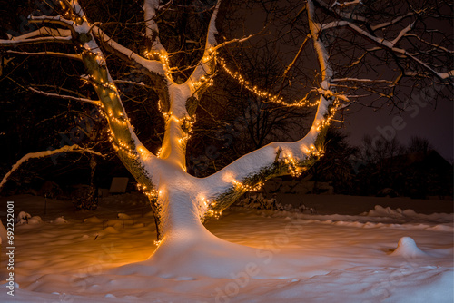 Big tree with lights at night in winter season, snow and lihts photo