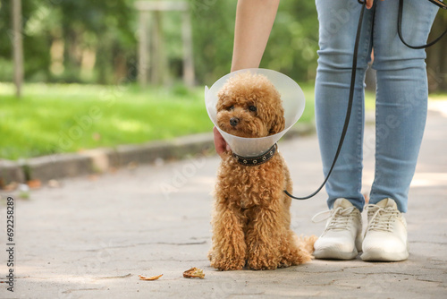 Woman with her cute Maltipoo dog in Elizabethan collar outdoors, closeup. Space for text