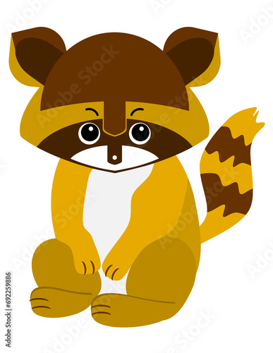 raccoon