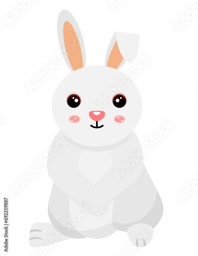 rabbit