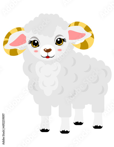 sheep
