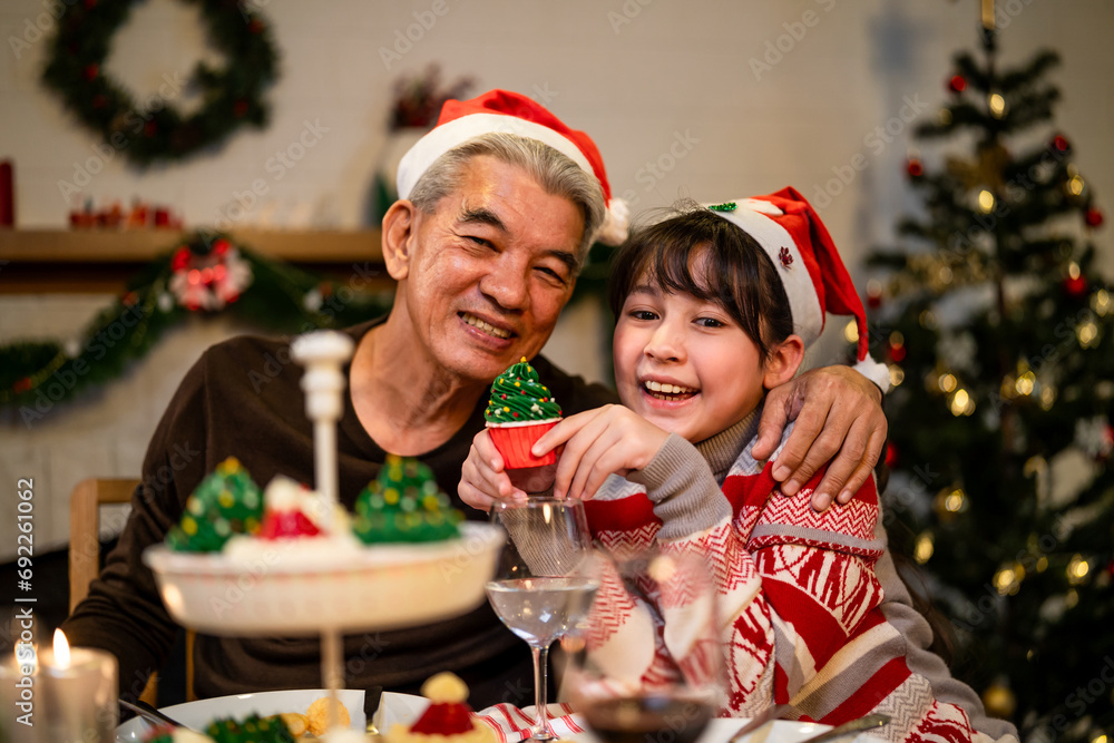 Asian lovely family celebrating christmas party together in house. Asian lovely family celebrating christmas party together in house.