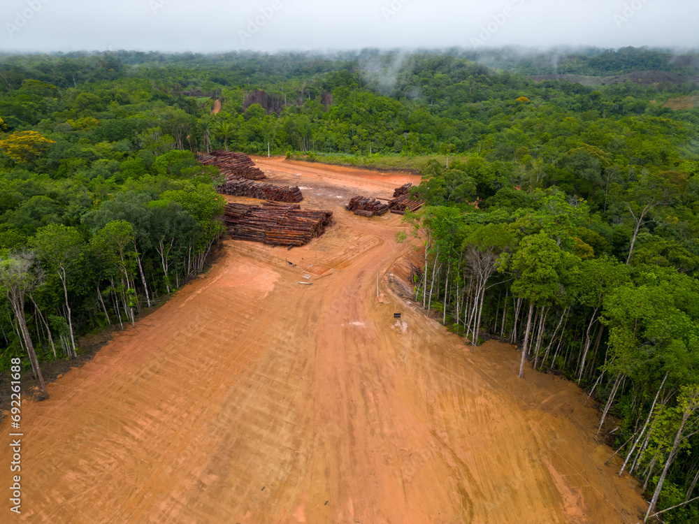 Aerial view of a logging yard in the Amazon rainforest: The yard is ...