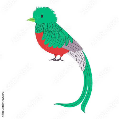 green and red color small bird resplendent quetzal species with long tail pretty cute nature animal wildlife creature