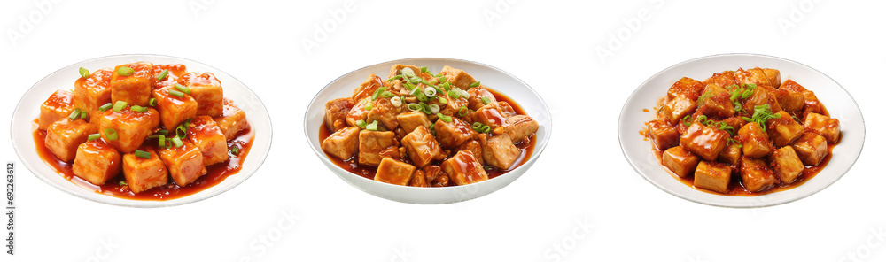 Delectable Fried Silken Tofu with Spicy Garlic Sauce