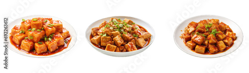 Delectable Fried Silken Tofu with Spicy Garlic Sauce