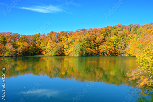 白神山地の麓にある十二湖の紅葉　王池　青森県