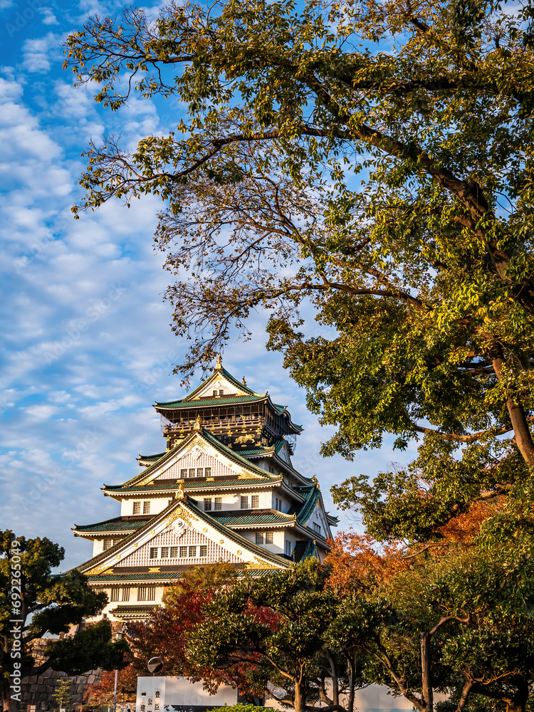 A majestic castle stands tall, Osaka