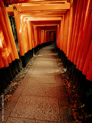 Shrine in the Fushimi Inari Taisha