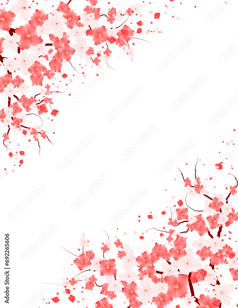 Sakura Bloom Frame. Flowers Blossom Border. Spring Floral Background. Blooming Flower illustration