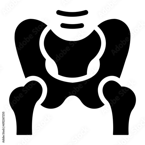 pelvis Solid icon