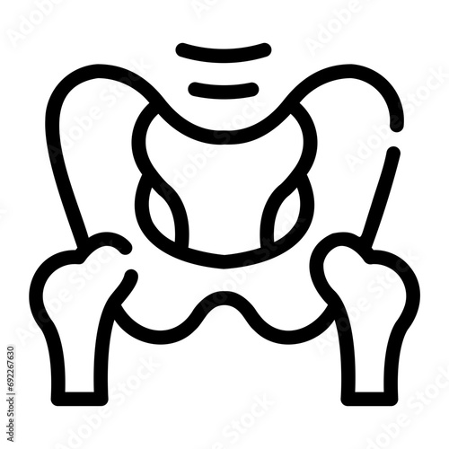 pelvis Line Icon