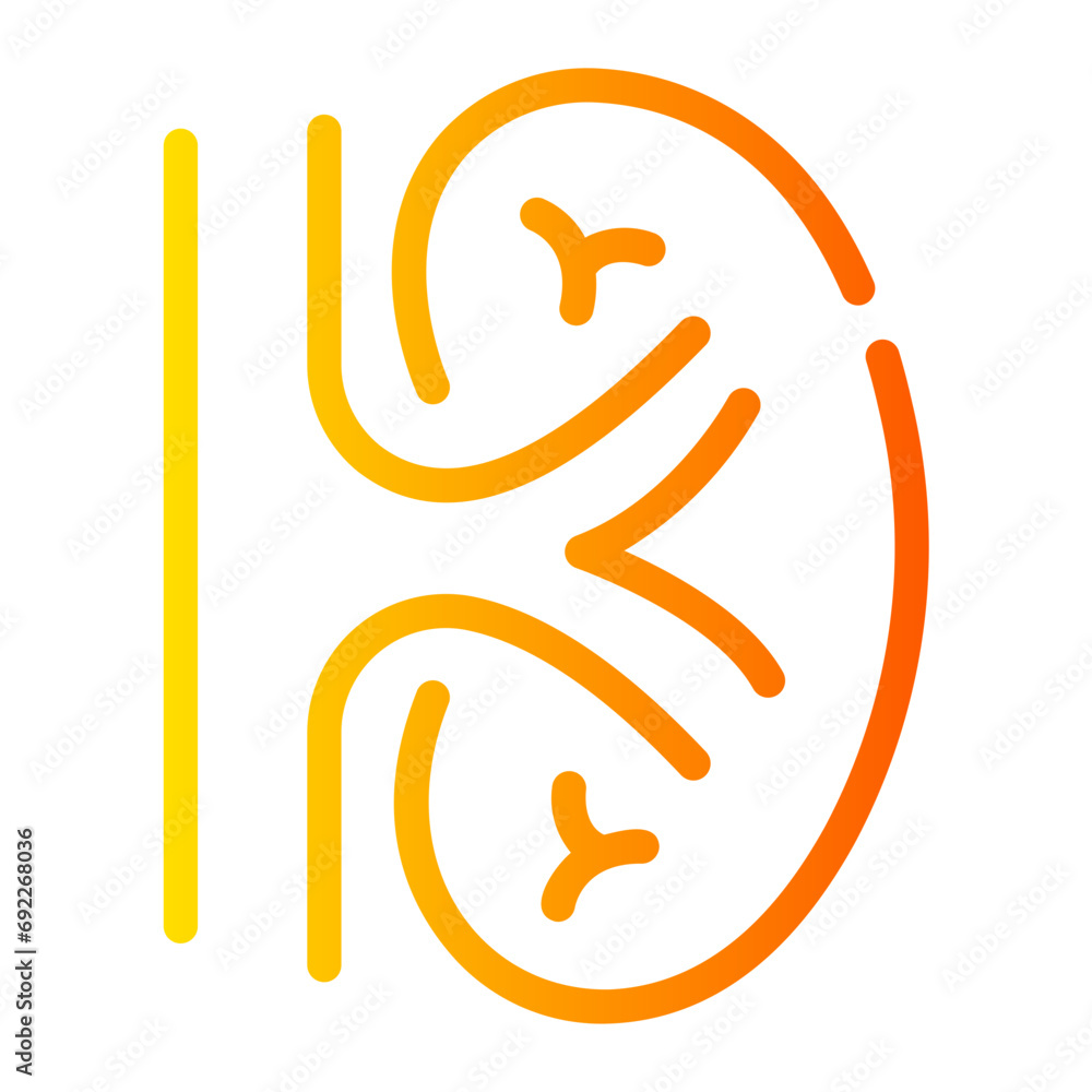 kidneys Line Gradient Icon kidneys Line Gradient Icon