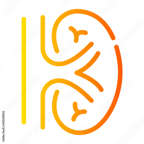 kidneys Line Gradient Icon