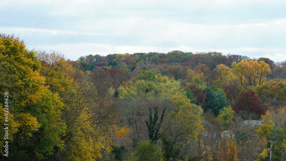 The colorful and beautiful leaves on the trees in autumn