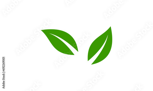 green leaves isolated on white background © goodskin