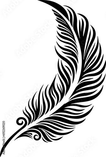 Maori  Feathers photo