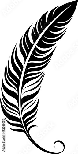 Maori  Feathers photo