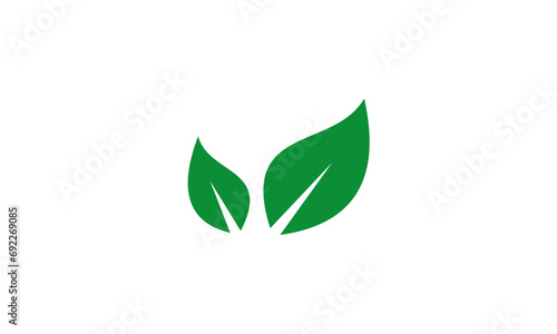 green leaf isolated on white background © goodskin