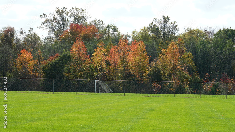 Obraz premium The colorful and beautiful leaves on the trees in autumn
