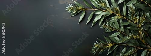 観葉植物とフリースペース photo