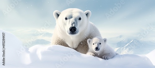 A polar bear and its cub in the snow. © AkuAku