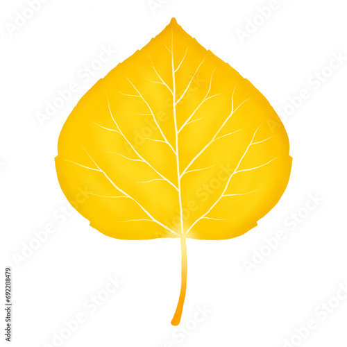 Single yellow leaf isolated on white background