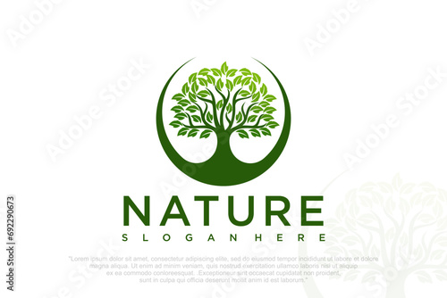 Oak tree logo . Design silhouette of a tree . Vector illustration