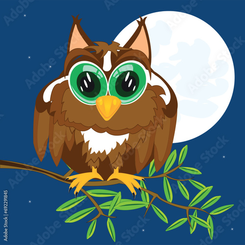 Bird owl on branch tree moon in the night