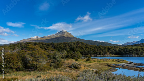 The beautiful landscape of southern Patagonia. There is a forest and yellowed grass growing on the shore of a blue lake. Snow-capped mountain on the background of azure sky  clouds. Argentina.