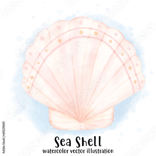 Sea Shell, Pearl Shell, Shell, watercolor vector, illustration