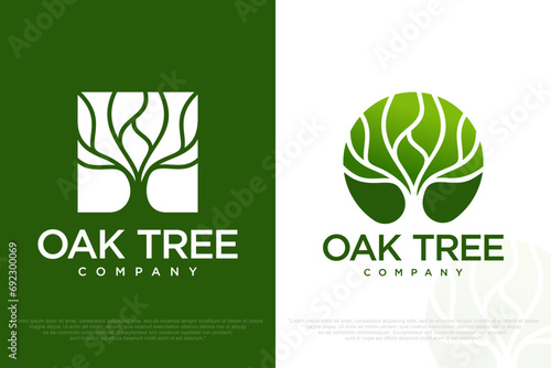 tree logo. Natural product plant growth icon . Eco nature garden emblem. Vector illustration.