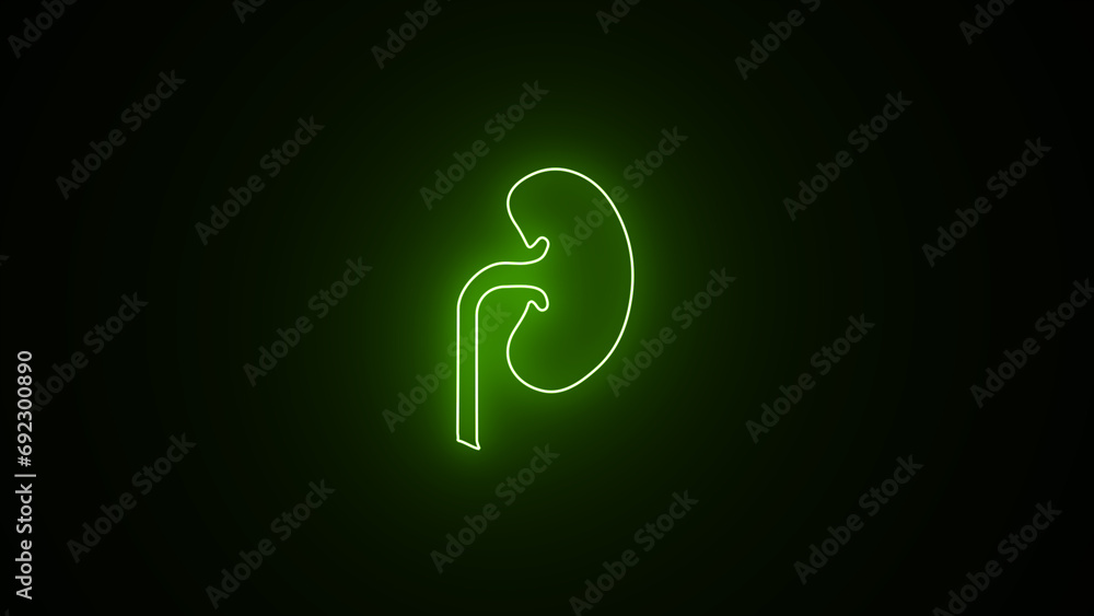 Glowing neon line Human kidney icon isolated on black background. neon kidney sign. kidney disease medical neon icon. kidneys neon sign, modern glowing banner design, colorful modern design trends. Glowing neon line Human kidney icon isolated on black background. neon kidney sign. kidney disease medical neon icon. kidneys neon sign, modern glowing banner design, colorful modern design trends.