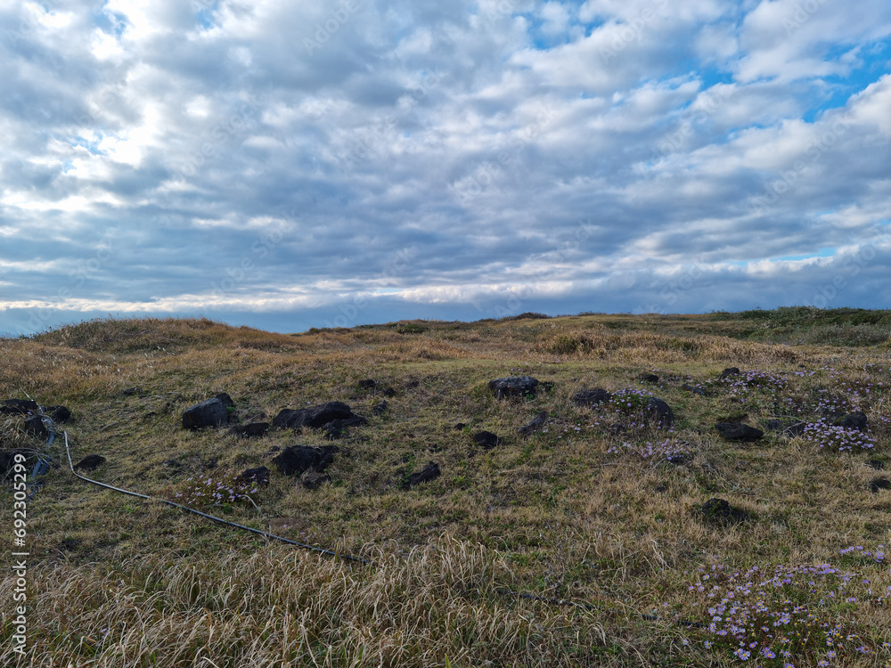 This is the autumn scenery of Seopjikoji, Jeju Island. This is the autumn scenery of Seopjikoji, Jeju Island.