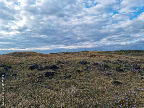 This is the autumn scenery of Seopjikoji  Jeju Island.