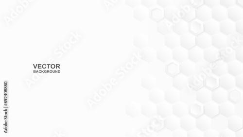 Abstract. Hexagon white background. theme product display podium. Vector. © lim_pix
