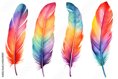 colourful rainbow watercolour feathers set isolated on transparent background - Design element PNG cutout collection photo