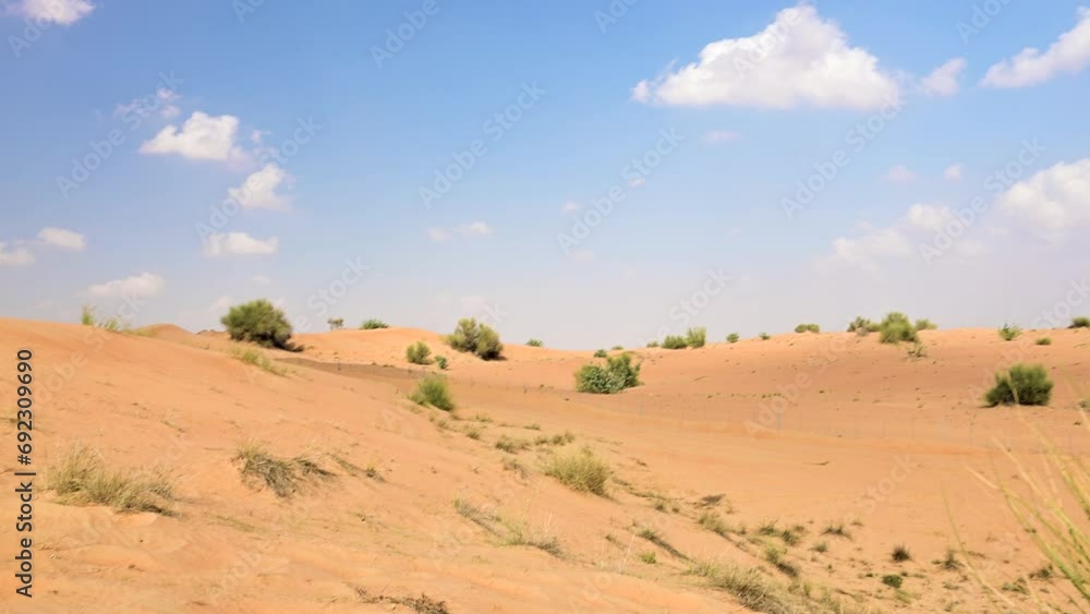 View of Desertscape in united Arab Emirates after rainy season View of Desertscape in united Arab Emirates after rainy season