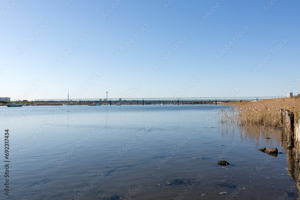 江戸川河川敷(千葉県市川市田尻) 江戸川河川敷(千葉県市川市田尻)