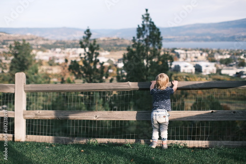 Farm Fence
