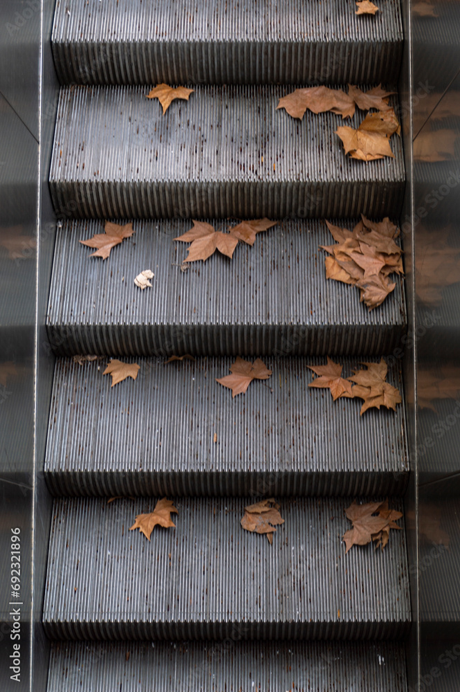 Escalator with dry leaves in autumn, Buenos Aires, Argentina