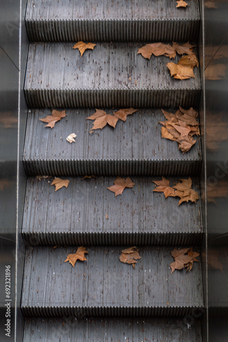 Obraz na płótnie Escalator with dry leaves in autumn, Buenos Aires, Argentina w salonie
