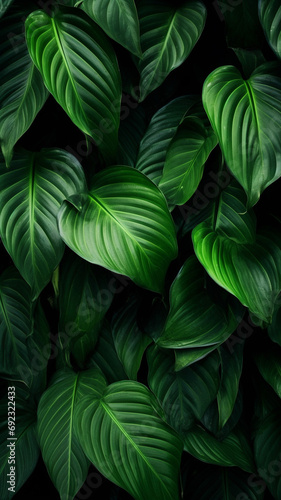 closeup tropical green leaves texture and dark tone wallpaper graphic © BornHappy