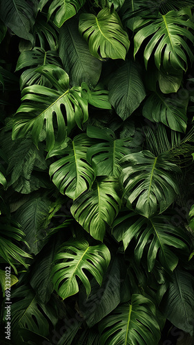 Green leaves foliage jungle tropical plant bush