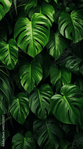 abstract green leaves foliage jungle tropical plant bush