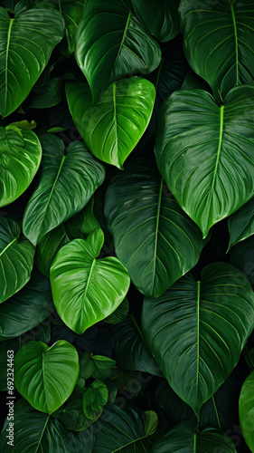 the Fresh tropical Green leaves graphic